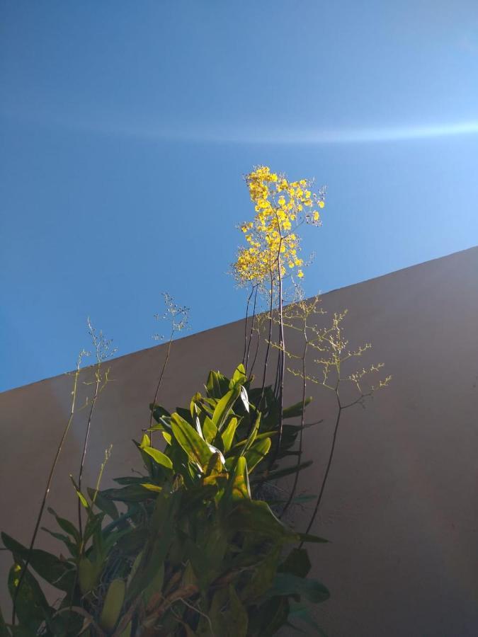 Villa Nossa Casinha Atibaia - Linda Vista Pra Pedra Grande Exterior foto