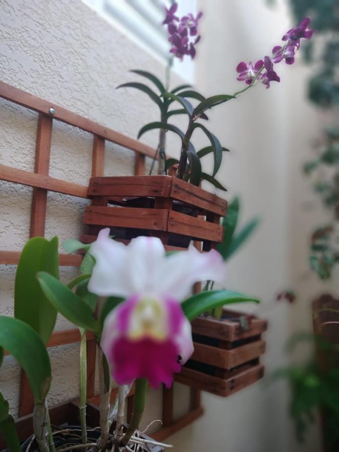 Villa Nossa Casinha Atibaia - Linda Vista Pra Pedra Grande Exterior foto