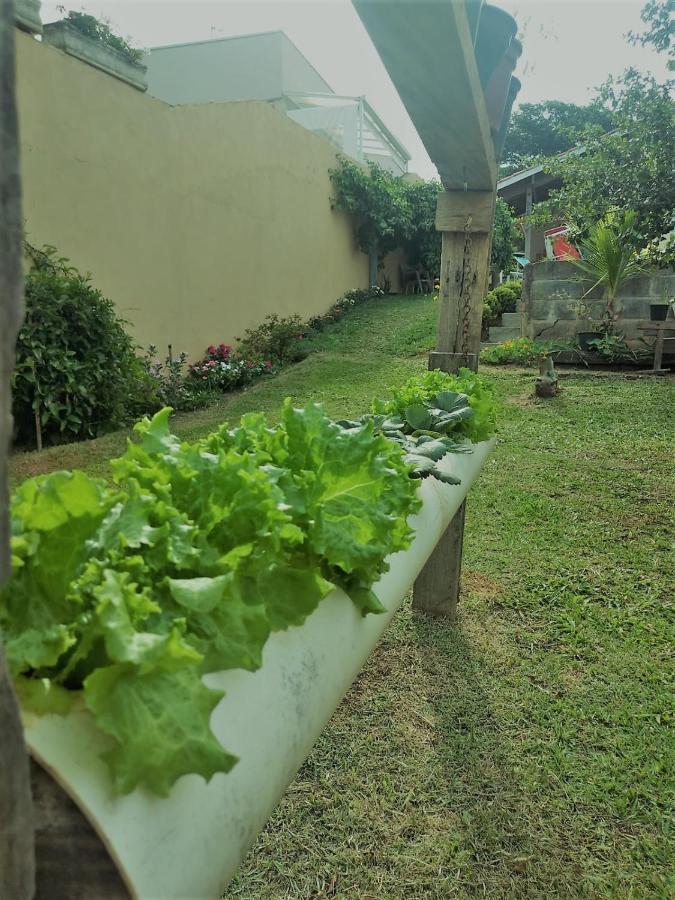 Villa Nossa Casinha Atibaia - Linda Vista Pra Pedra Grande Exterior foto